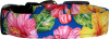 Vibrant Pink & Yellow Hawaiian Flowers on Royal Blue Dog Collar