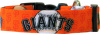 Orange San Francisco Giants Dog Collar