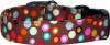 Funky Retro Brown Dots Custom Dog Collar