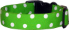 Lime & White Polka Dot Handmade Dog Collar