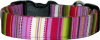 Violet & Olive Retro Stripes Handmade Dog Collar