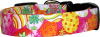 Vibrant Decorated Easter Eggs on Fuschia Dog Collar